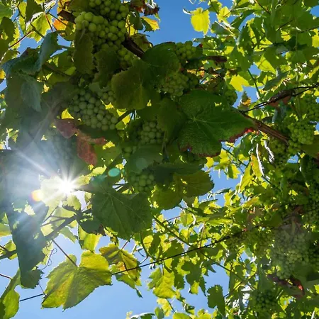 فيلة Casa Do Cabo - Jacuzzi And Pool بونتي دي ليما