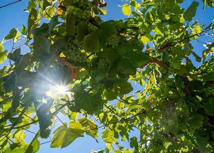 Villa Casa Do Cabo - Jacuzzi And Pool Ponte de Lima